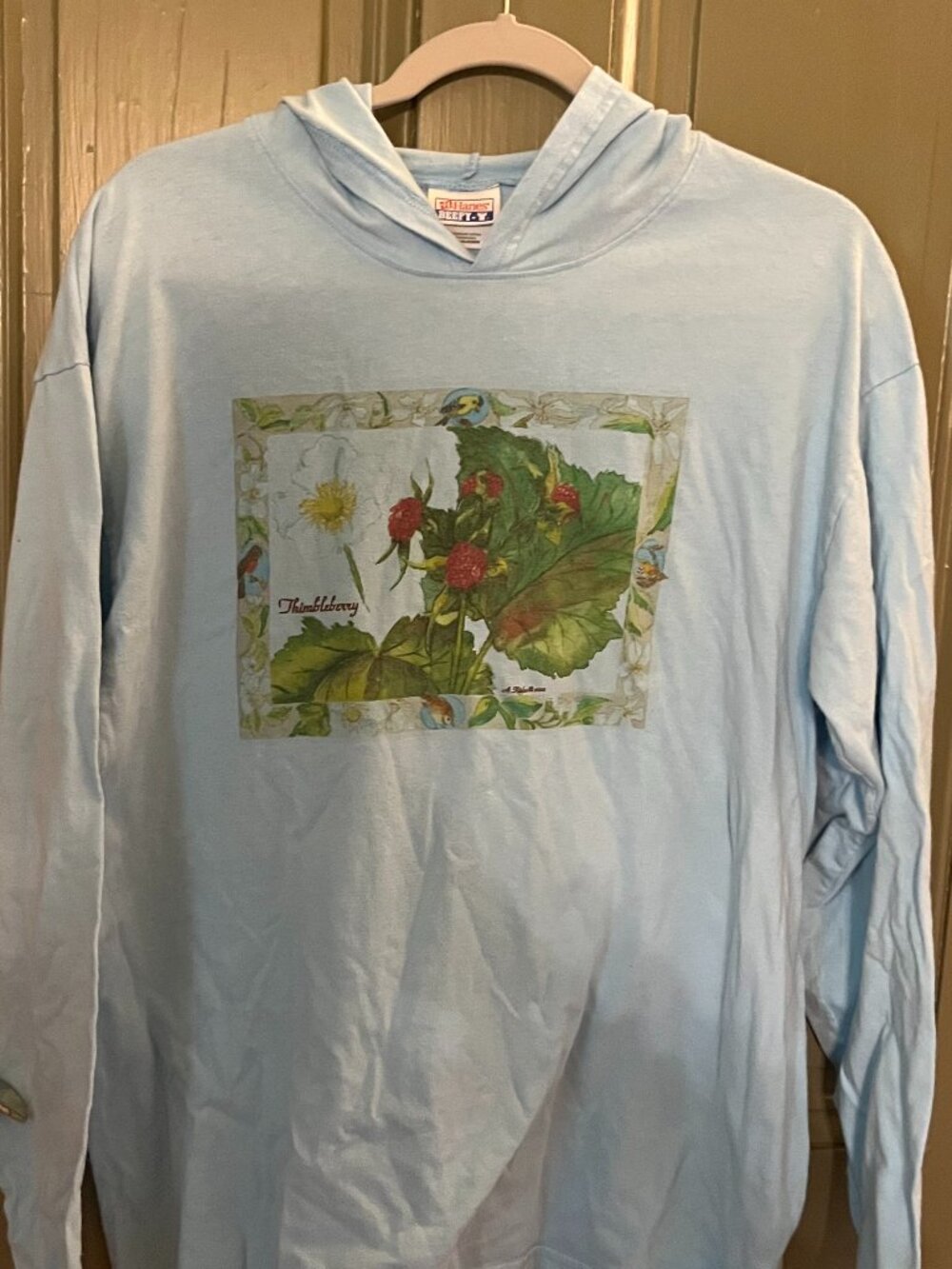 long sleeve hooded tee thimbleberry thin cotton light blue 2000
